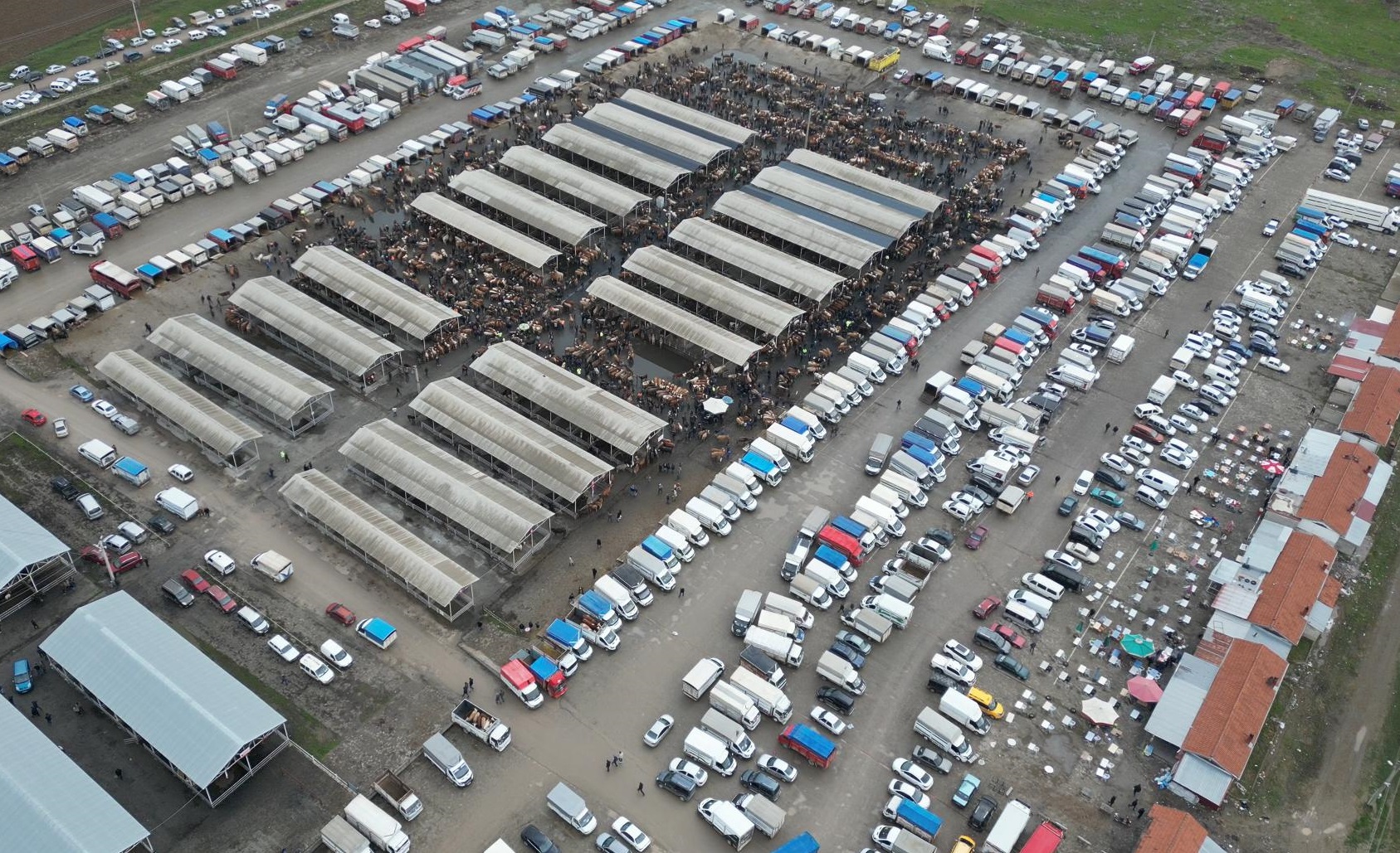 Sivas'ta hayvan pazarında bayram hareketliliği başladı