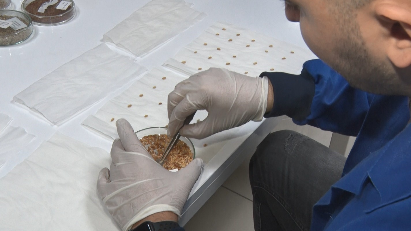 İran gerilimi sonrası gözler gıda güvenliğine çevrildi