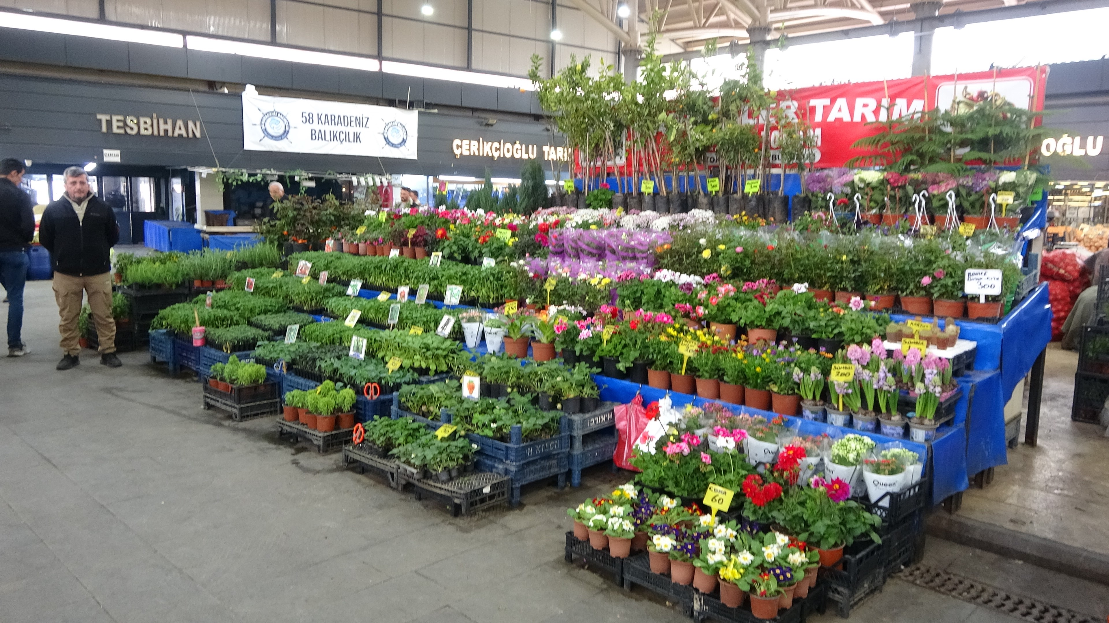 Sivas’ta vatandaş kendi sebzesini üretmeye yöneldi