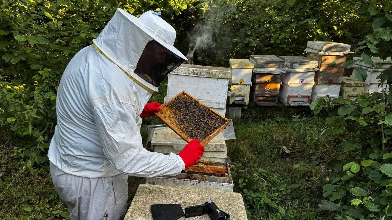 Sivas'ta arıcılık kursu başlıyor