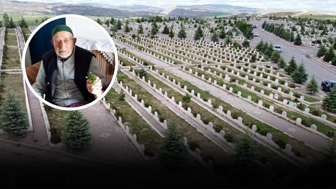 Sivas’ta 115 yaşındaki koca çınar hayatını kaybetti