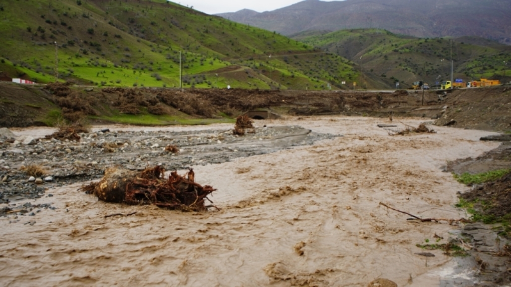 Sağanak sele neden oldu; 35 küçükbaş öldü