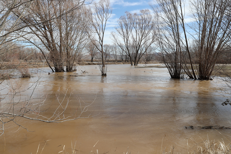 Sivas’ta Çiftçinin Emeği Suya Karıştı