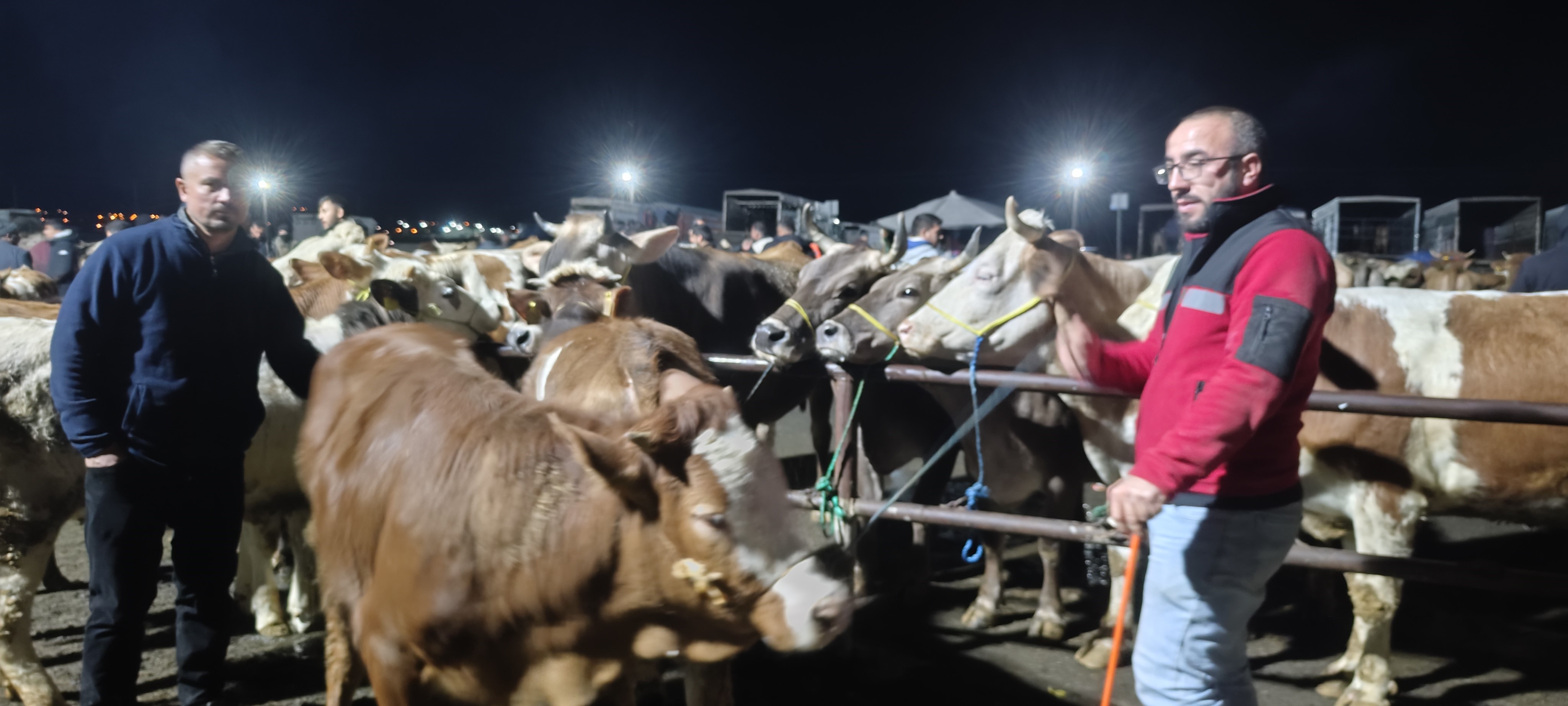 Sivas'ta kurbanlık fiyatlarında pazarlık mesaisi