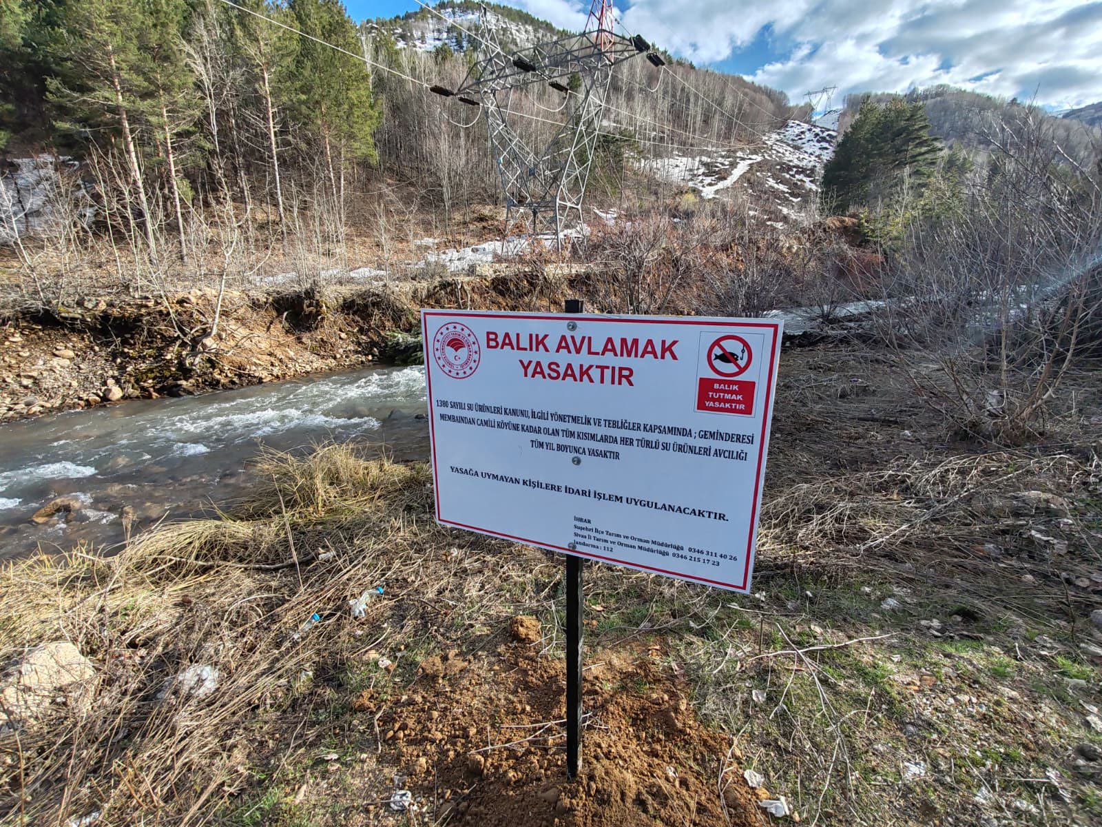 Sivas’ta balık avına yıl boyu yasak