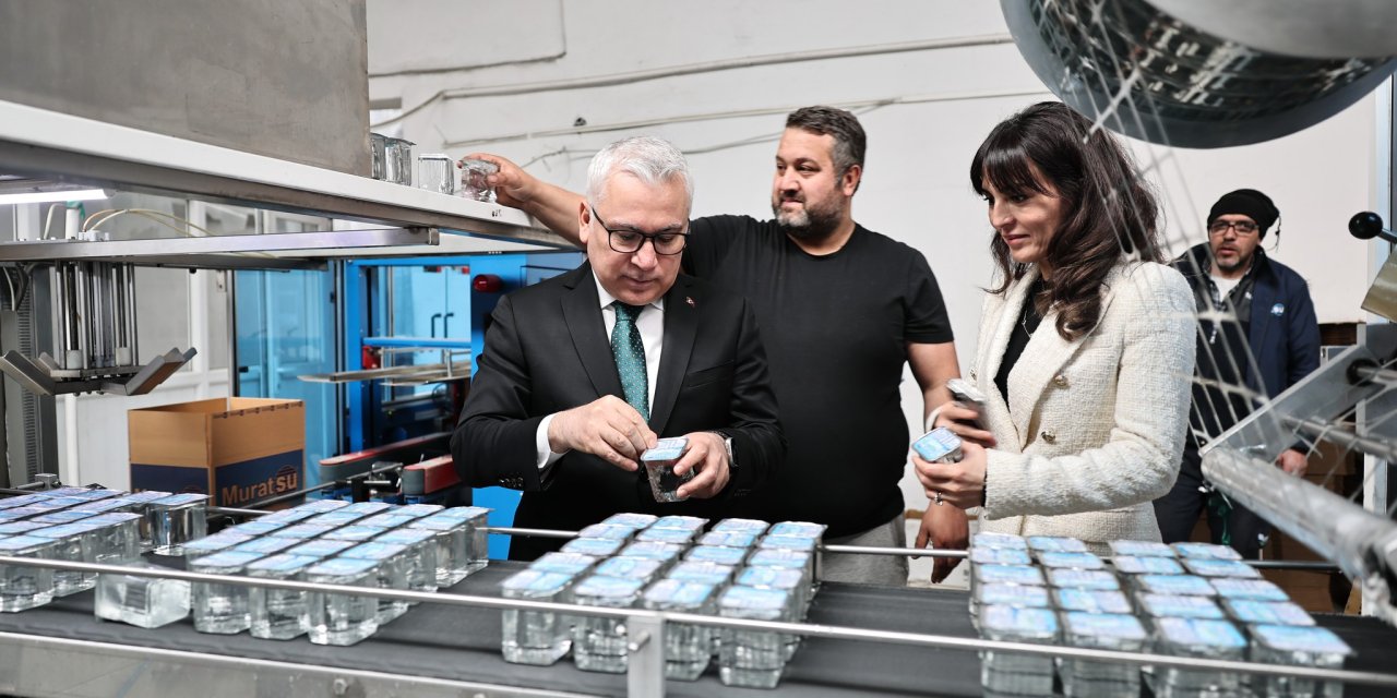 Vali Şimşek su tesisinde incelemelerde bulundu