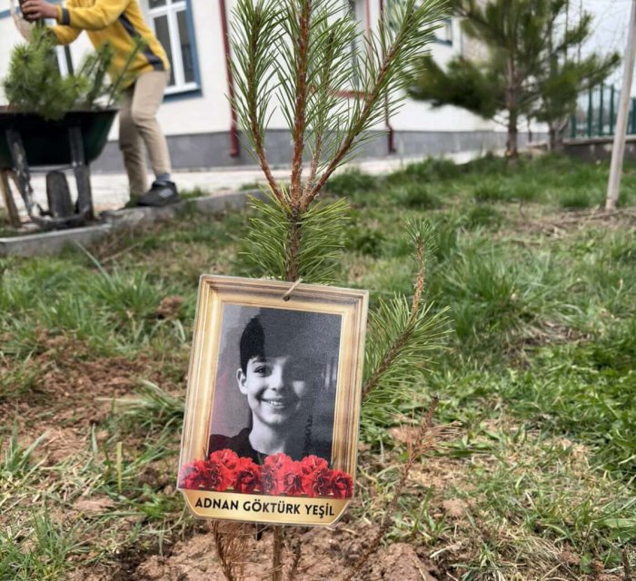 Sivas'ta Kahramanmaraş'ta ölenler unutulmadı: Anılarına fidan dikildi