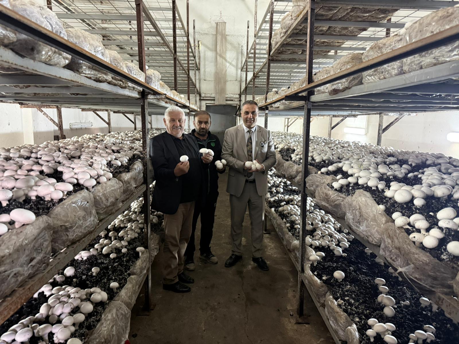 Sivas’ta yıllardır kapalı fabrika yeniden üretime geçti