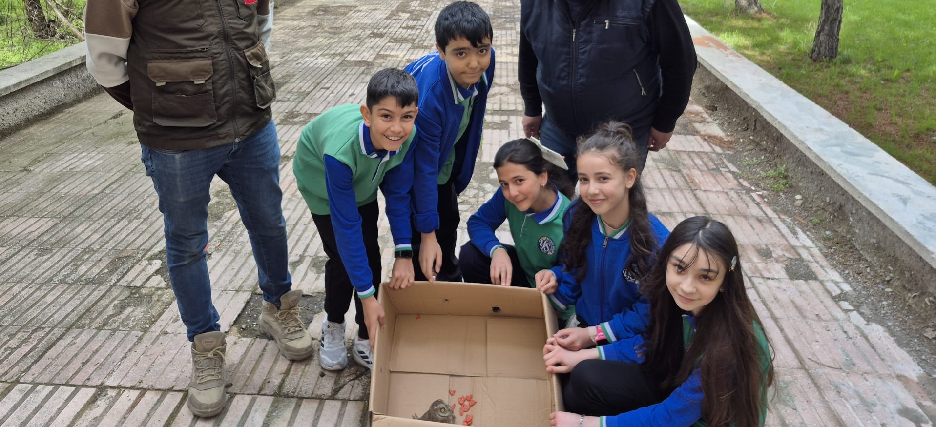 Sivas'ta öğrenciler buldukları baykuşu hayata döndürdüler