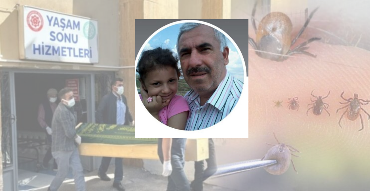 Sivas'ta kene yine can aldı, ölü sayısı 2'ye yükseldi