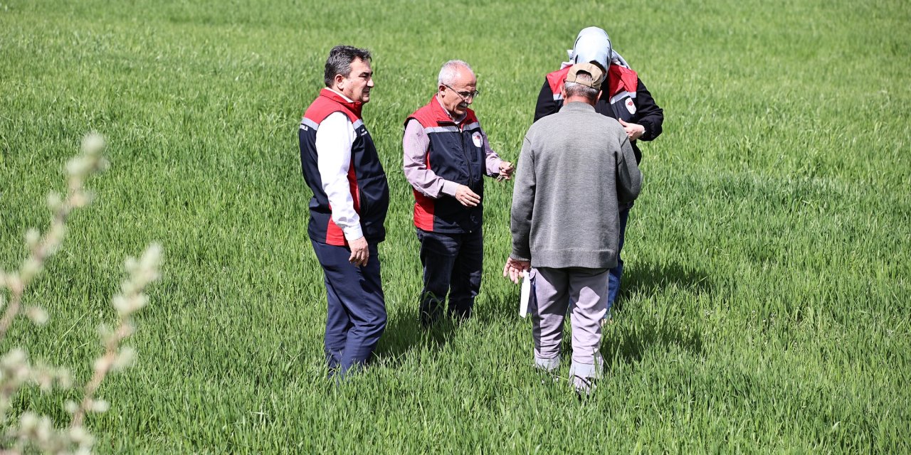 Sivas'ta çiftçiye sarı pas uyarısı