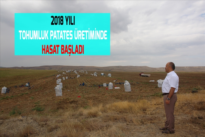2018 YILI TOHUMLUK PATATES  ÜRETİMİNDE HASAT BAŞLADI