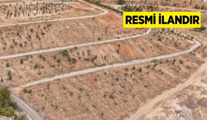 ESKİŞEHİR İLİ ODUNPAZARI KARBON YUTAK ALANI VE SİVAS İLİ SERPİNCİK KARBON YUTAK ALANI OLUŞTURULMASI İŞİ