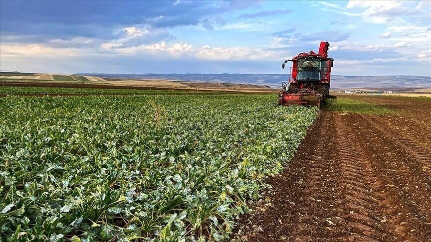 Çiftçilere ilk çeyrekte 35,6 milyarlık ödeme