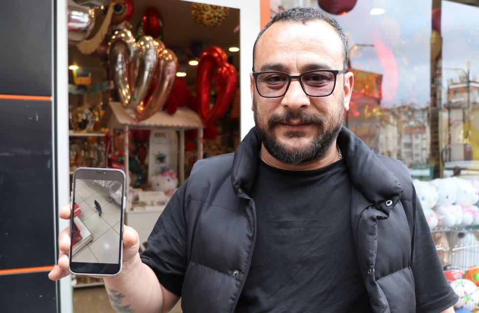 Sivas'ta yağmurdan kaçan karga iş yerine sığındı