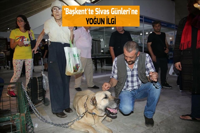 ?Başkent´te Sivas Günleri´ne  YOĞUN İLGİ