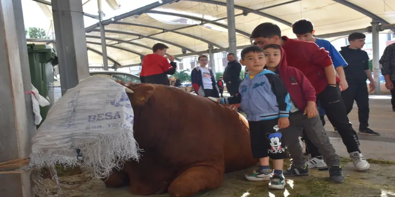 Sivas’ta kurban kesim yerleri belirlendi