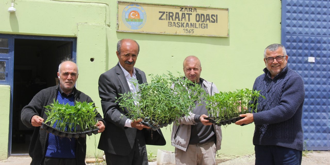 Sivas'ta çiftçilere 20 bin fide dağıtıldı