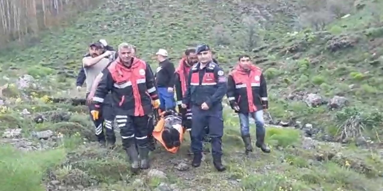 Sivas'ta mantar toplayan kişiye ayı saldırdı
