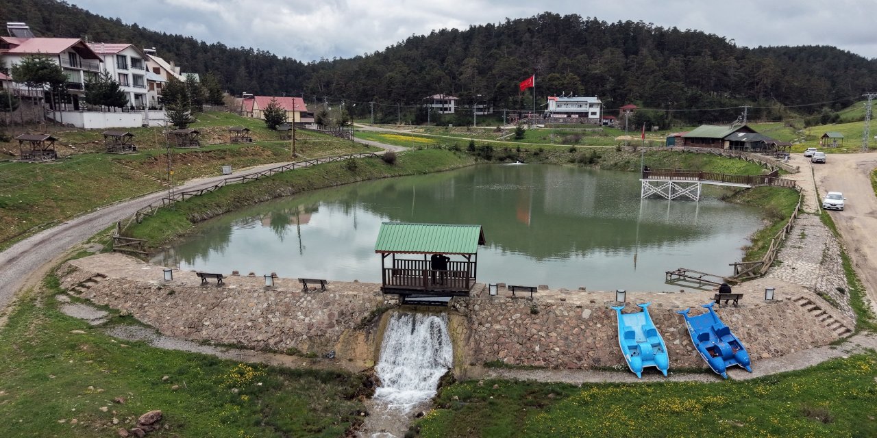 Sivas'ın doğa harikası sarı papatyalarla renklendi
