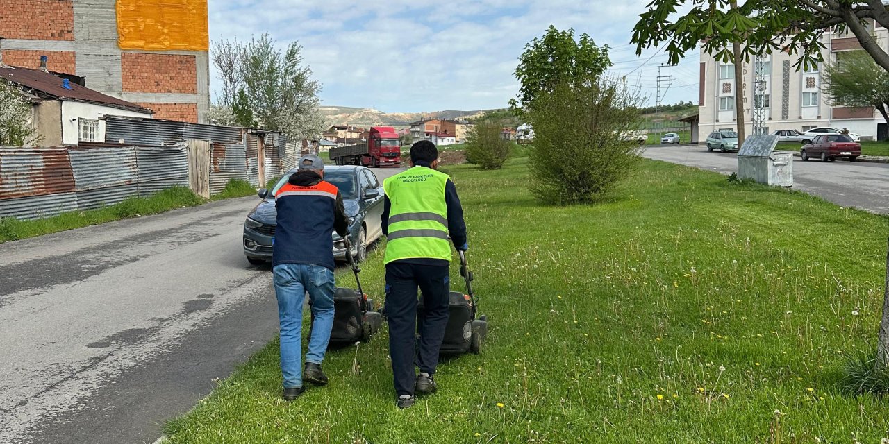 Sivas'ta park ve yeşil alanlar yaza hazırlanıyor