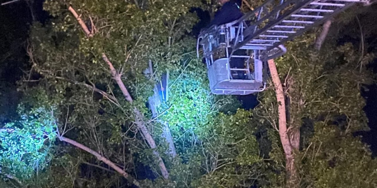 Sivas'ta ağaçta mahsur kalan dron sahibi kurtarıldı