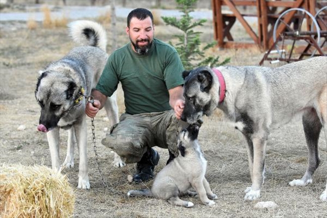 "KANGALLAR KAYIT ALTINA ALINMALI"