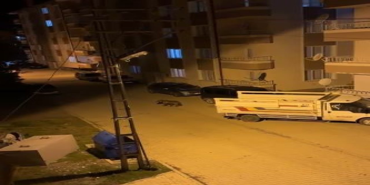 Sivas'ta ayı ilçenin  kabusu oldu