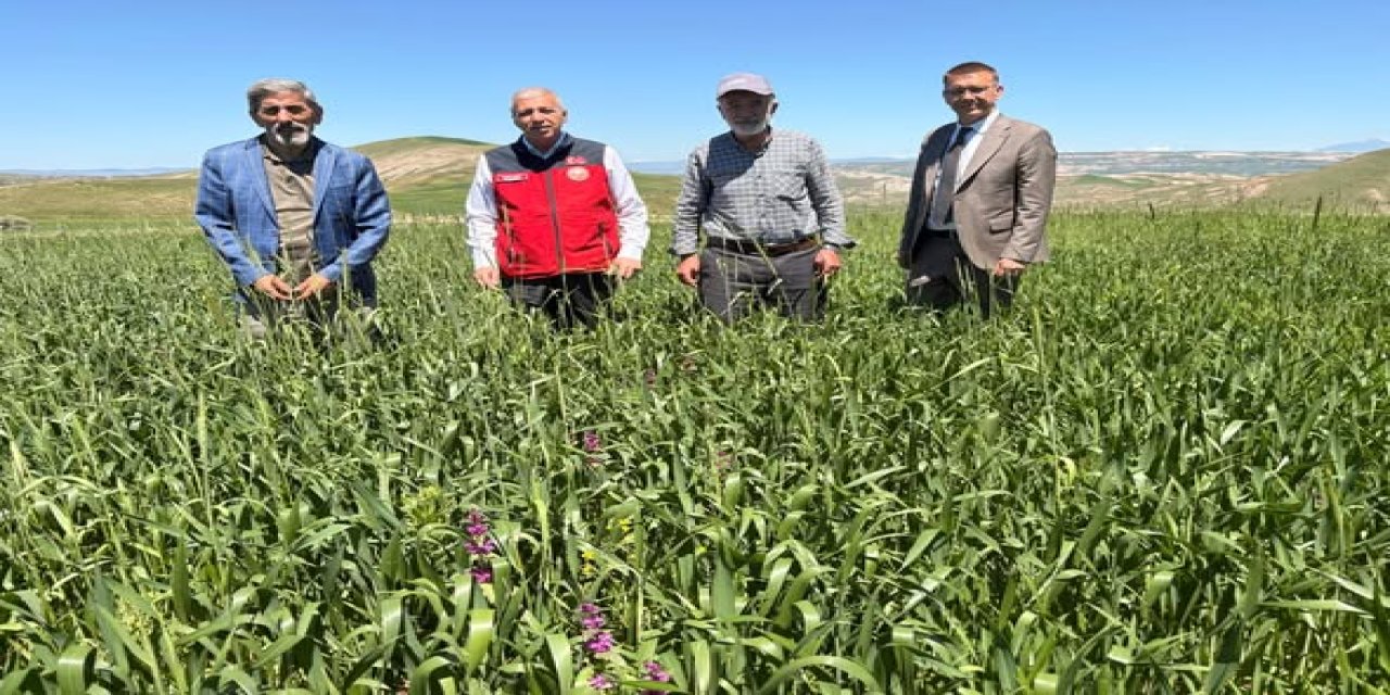 Sivas'ta üreticilere sarı pas uyarısı