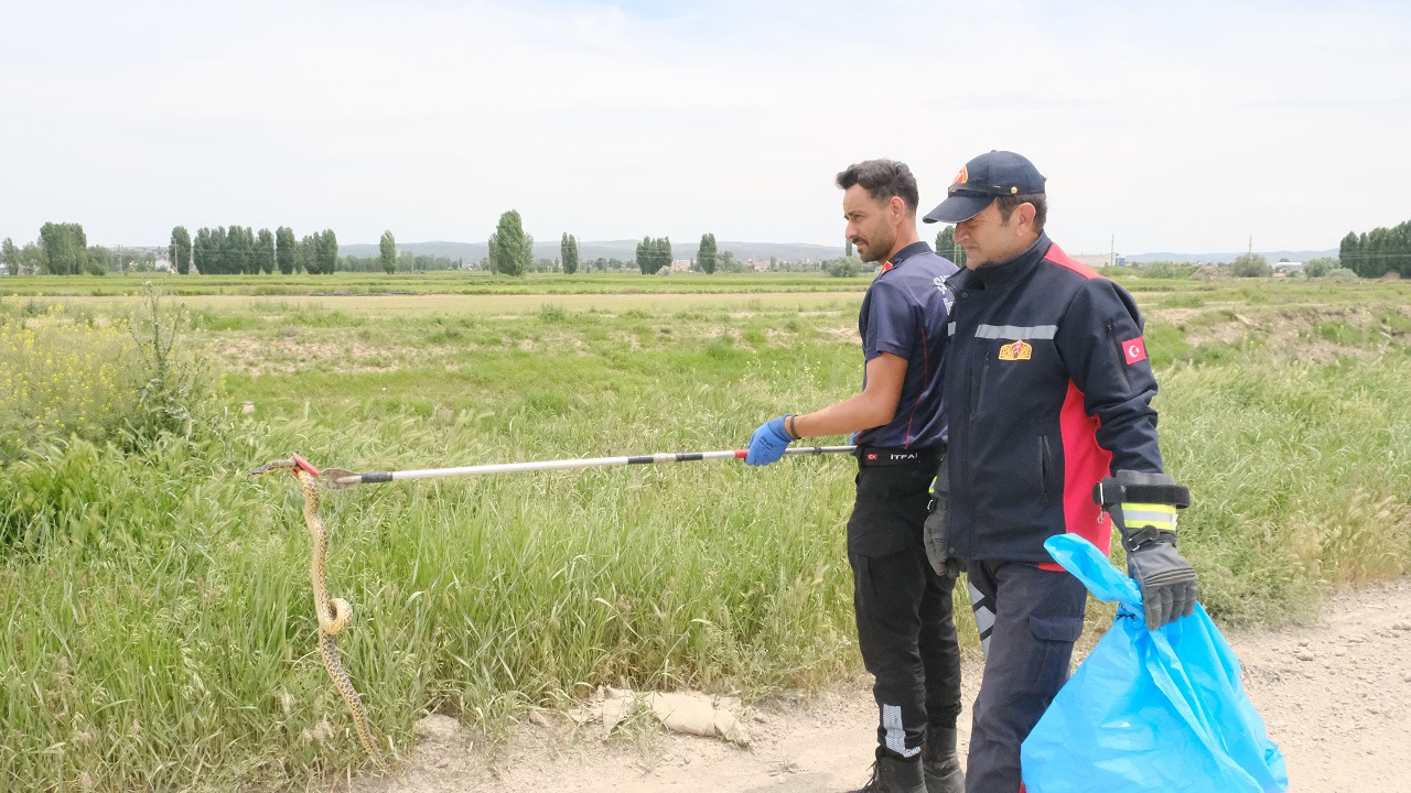 Sivas'ta itfaiye bahçeye giren yılanı böyle yakaladı