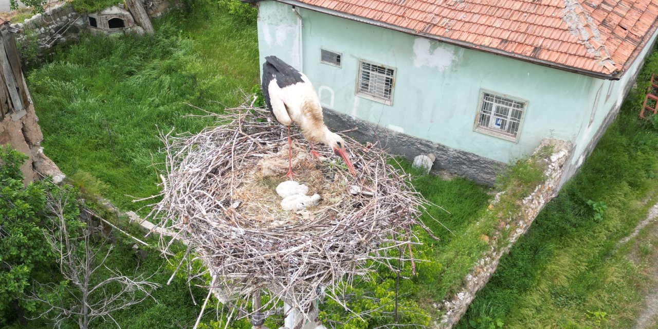 Leylekli mahallenin sakinlerinin 'yuva' hassasiyeti