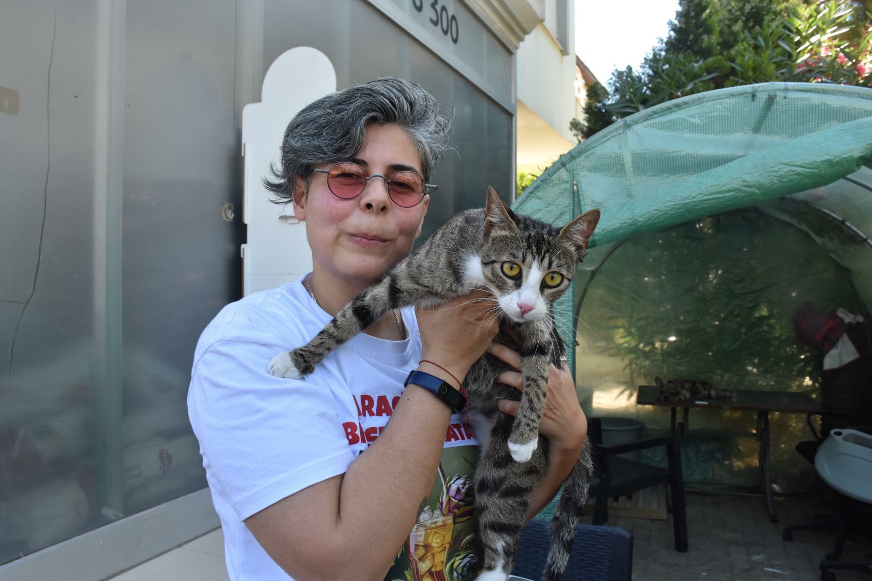 6 milyonda 1 görülen vaka: Erkek kedi doğum yaptı