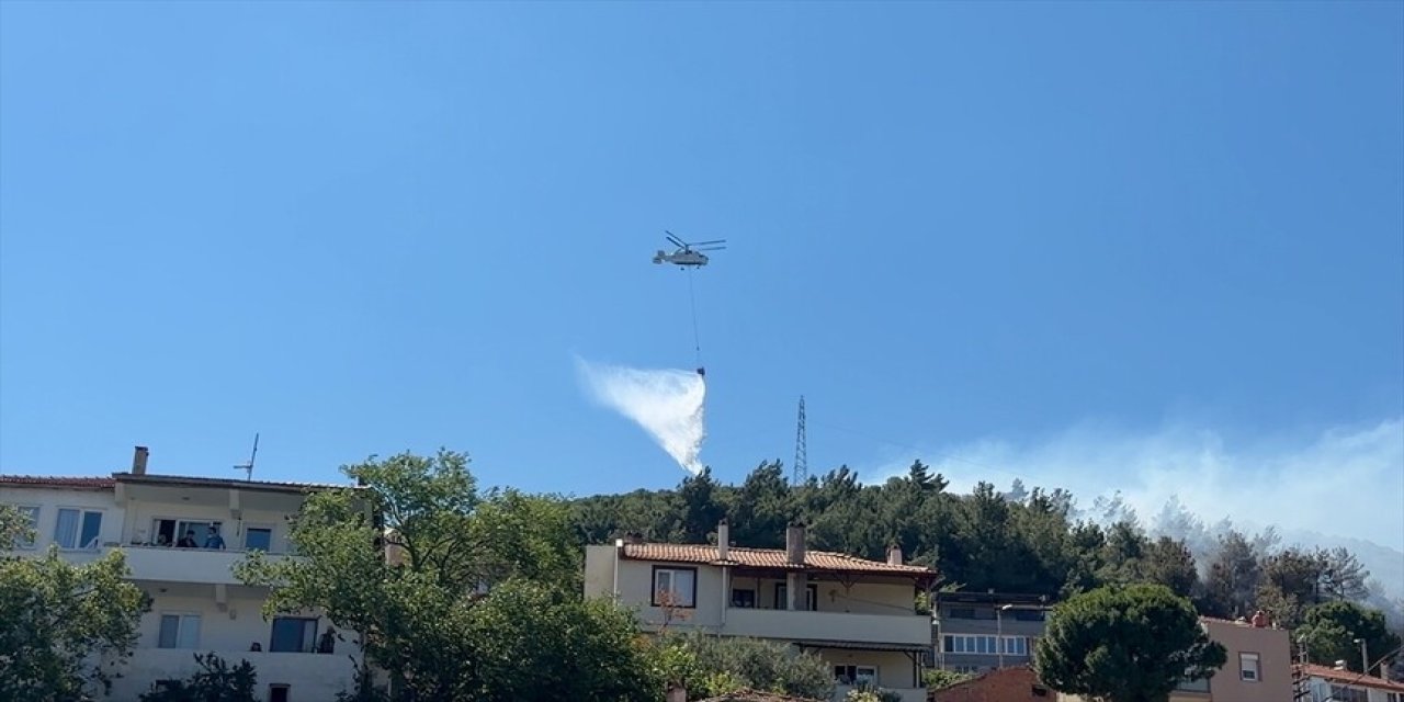 Balıkesir'de orman yangını