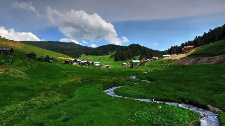 Yaylalarda gizli sağlık riski: Uzmanlardan kritik uyarı