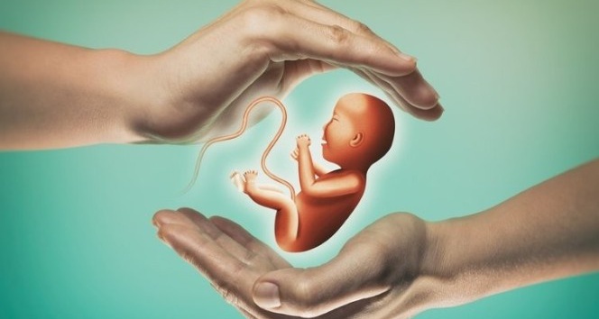 Vücut kitle indeksi tüp bebek başarısını etkiliyor