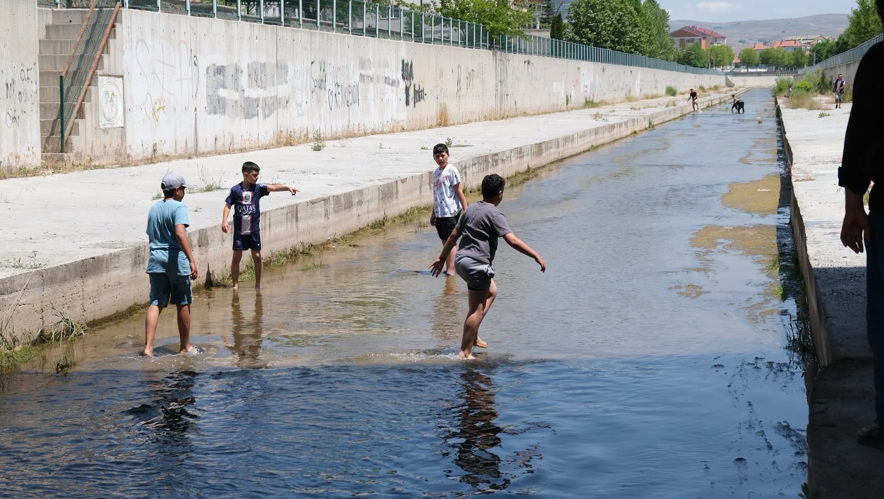 Sivas'ta dere içinde balık sürprizi