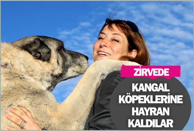 KANGAL KÖPEKLERİNE HAYRAN KALDILAR