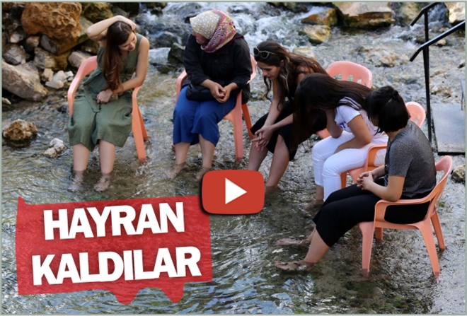 HAYRAN KALDILAR