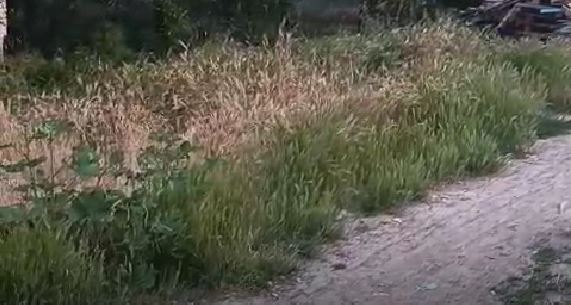 Sivas'ta Metruk Yapılar ve Kuru Otlar Endişe Yaratıyor