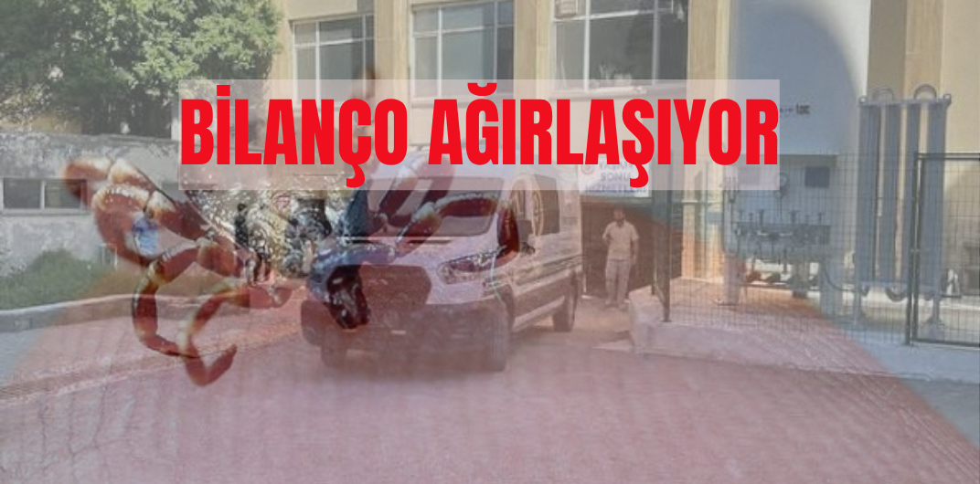 Sivas'ta kene bir can daha aldı, sayı 7'ye yükseldi