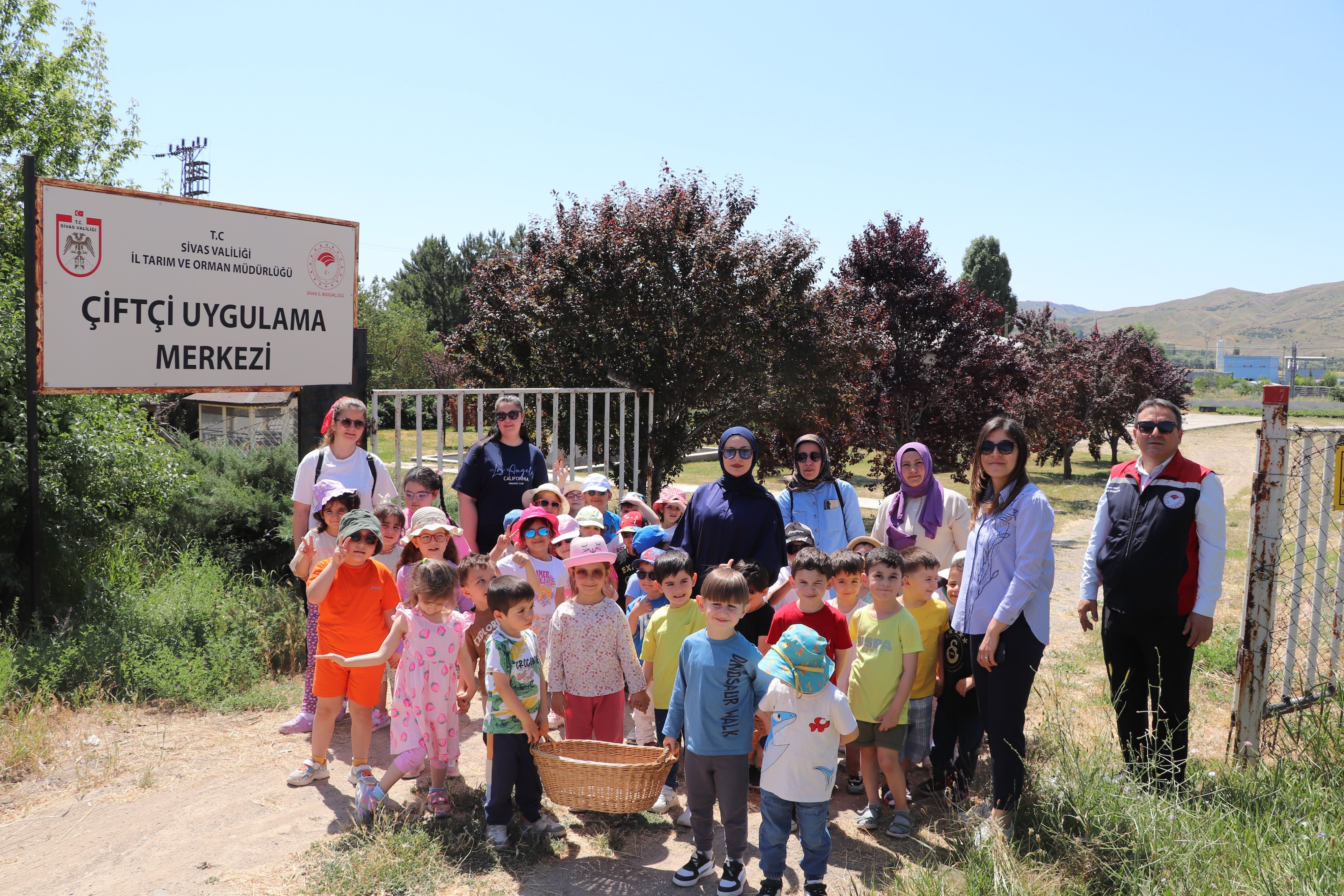 Sivas'ta Minikler Serada Çilek Hasadı Yaptı