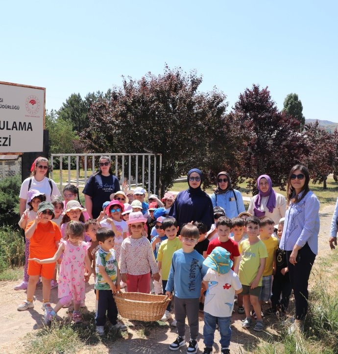 Sivas'ta Minikler Serada Çilek Hasadı Yaptı