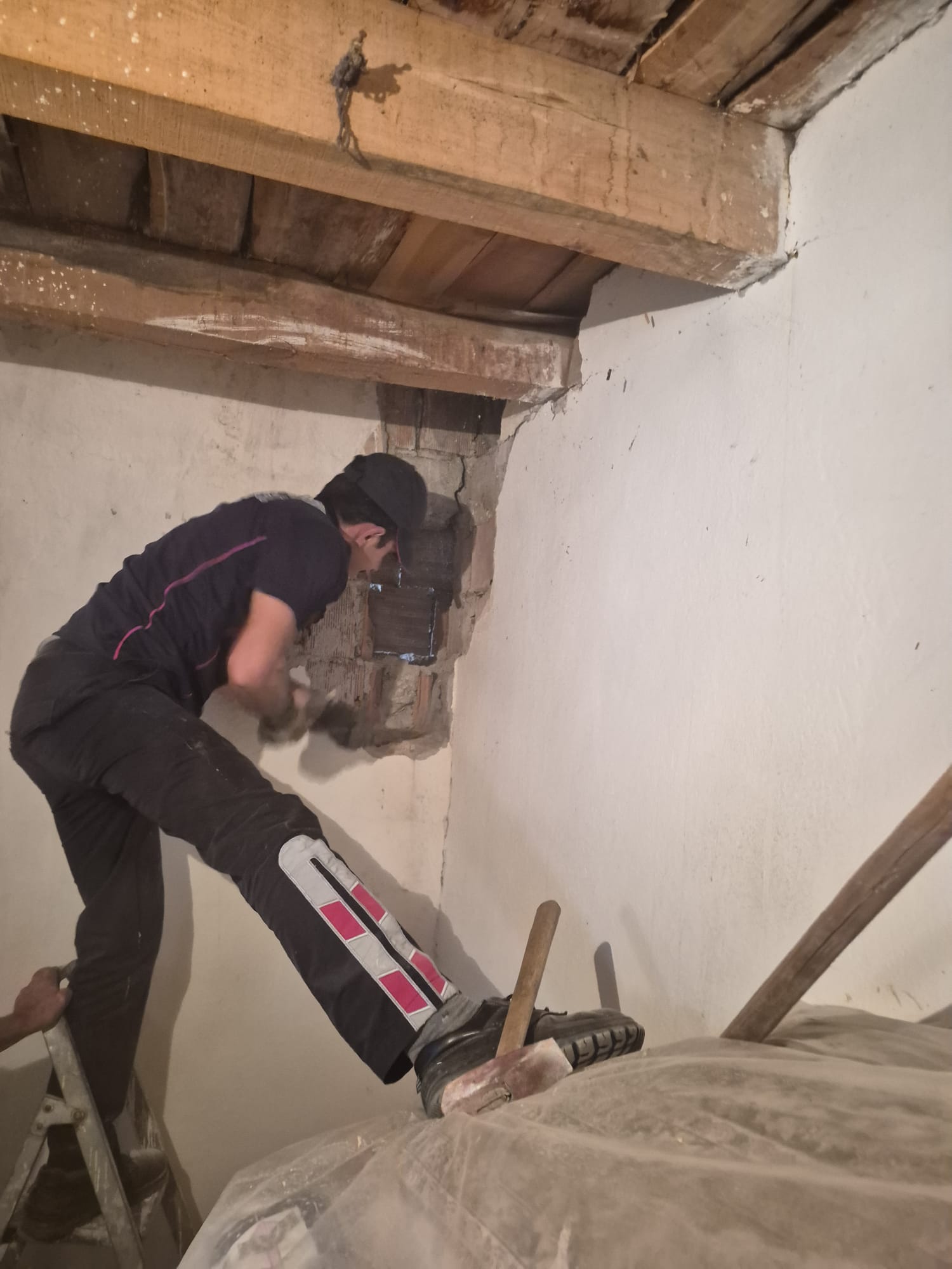 Sivas'ta duvar kırıldı, yavrular kurtarıldı