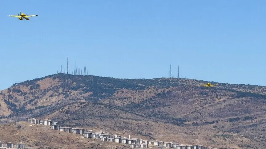 İzmir’de ormanlık alan alevlere teslim oldu