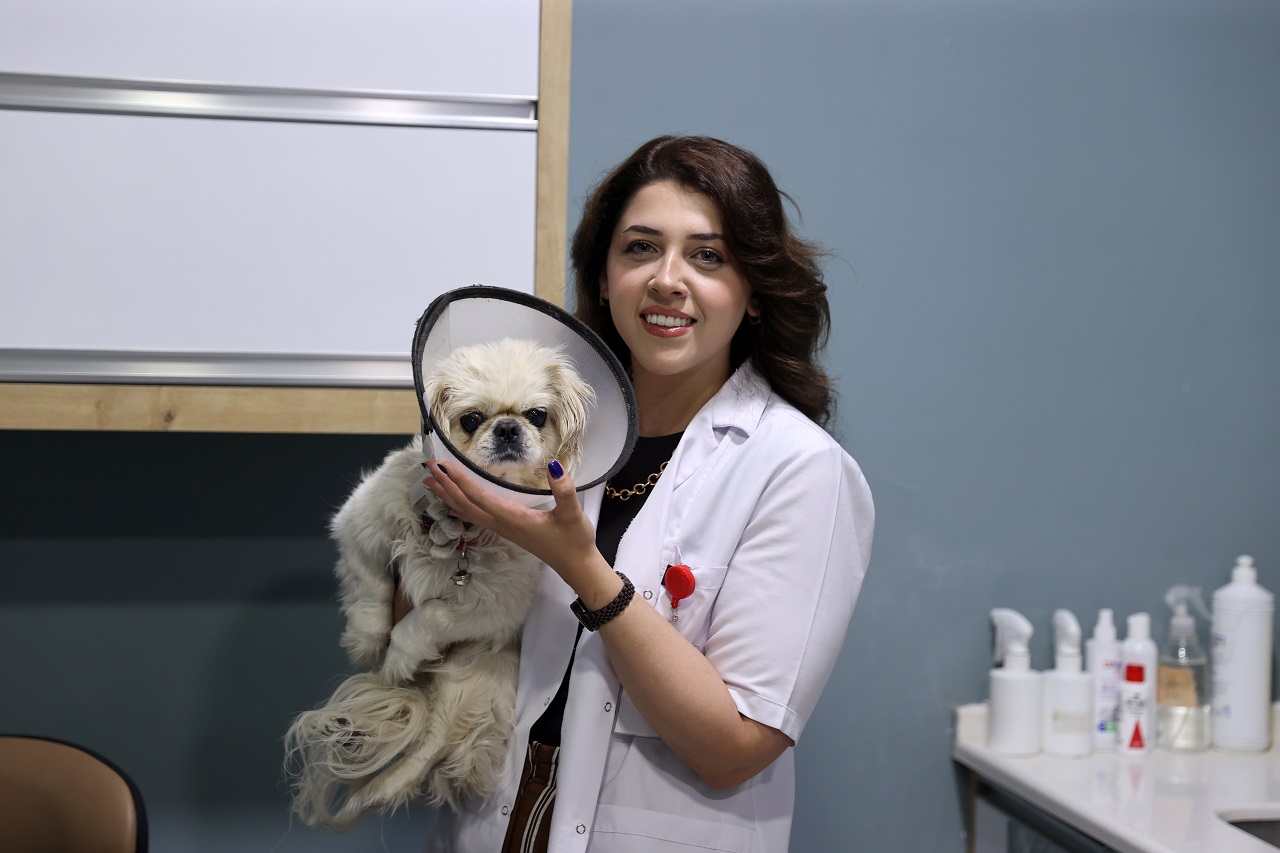 Sivas'ta görme yetisini kaybeden "Pamuk"a yeni umut