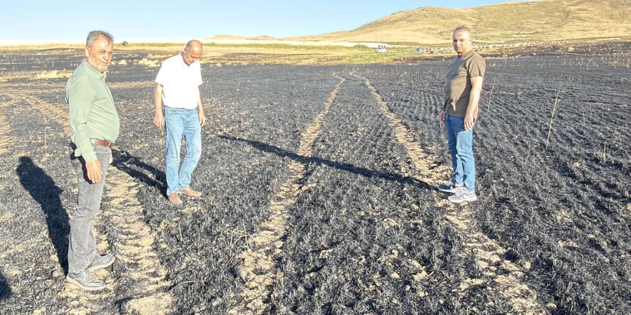 Sivas'ta 100 dekar ekili alan zarar gördü