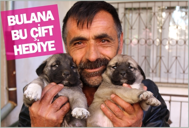 BULANA BU ÇİFT HEDİYE