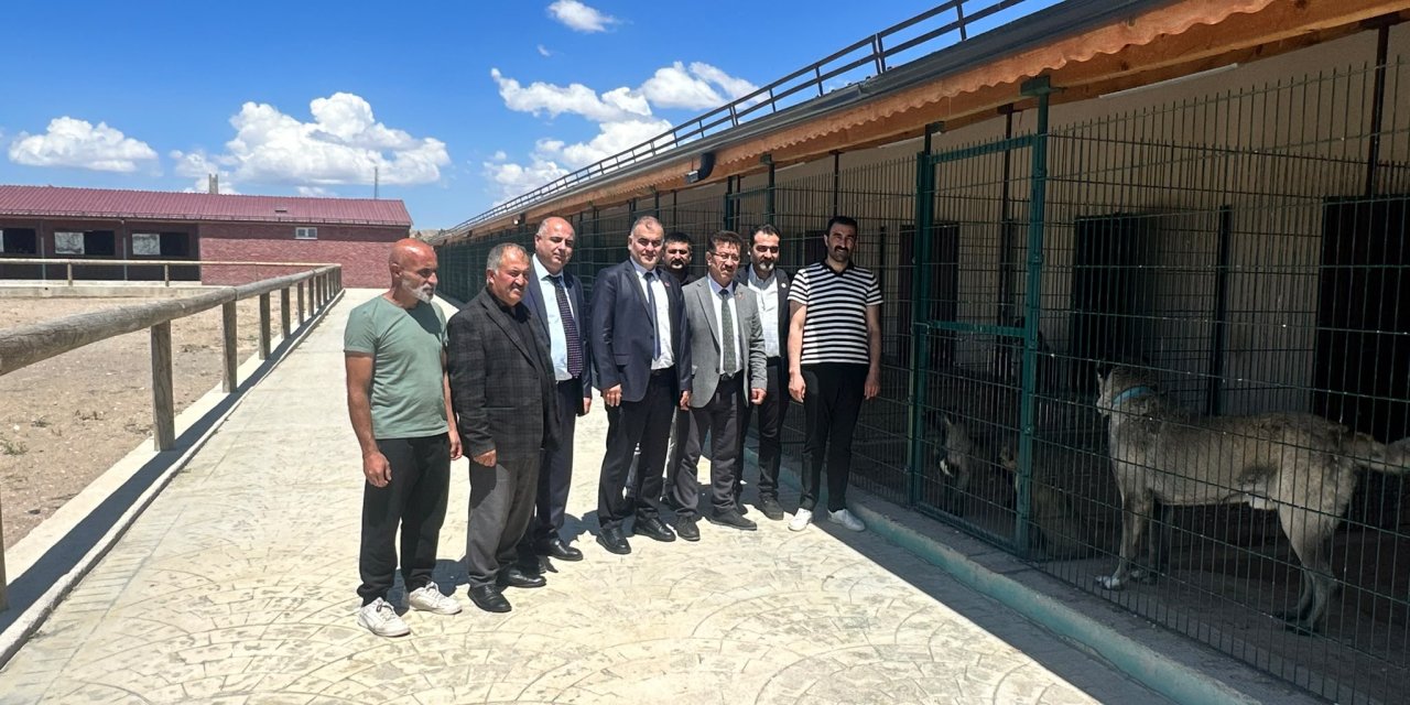 BTP Sivas'tan Kangal çıkarması