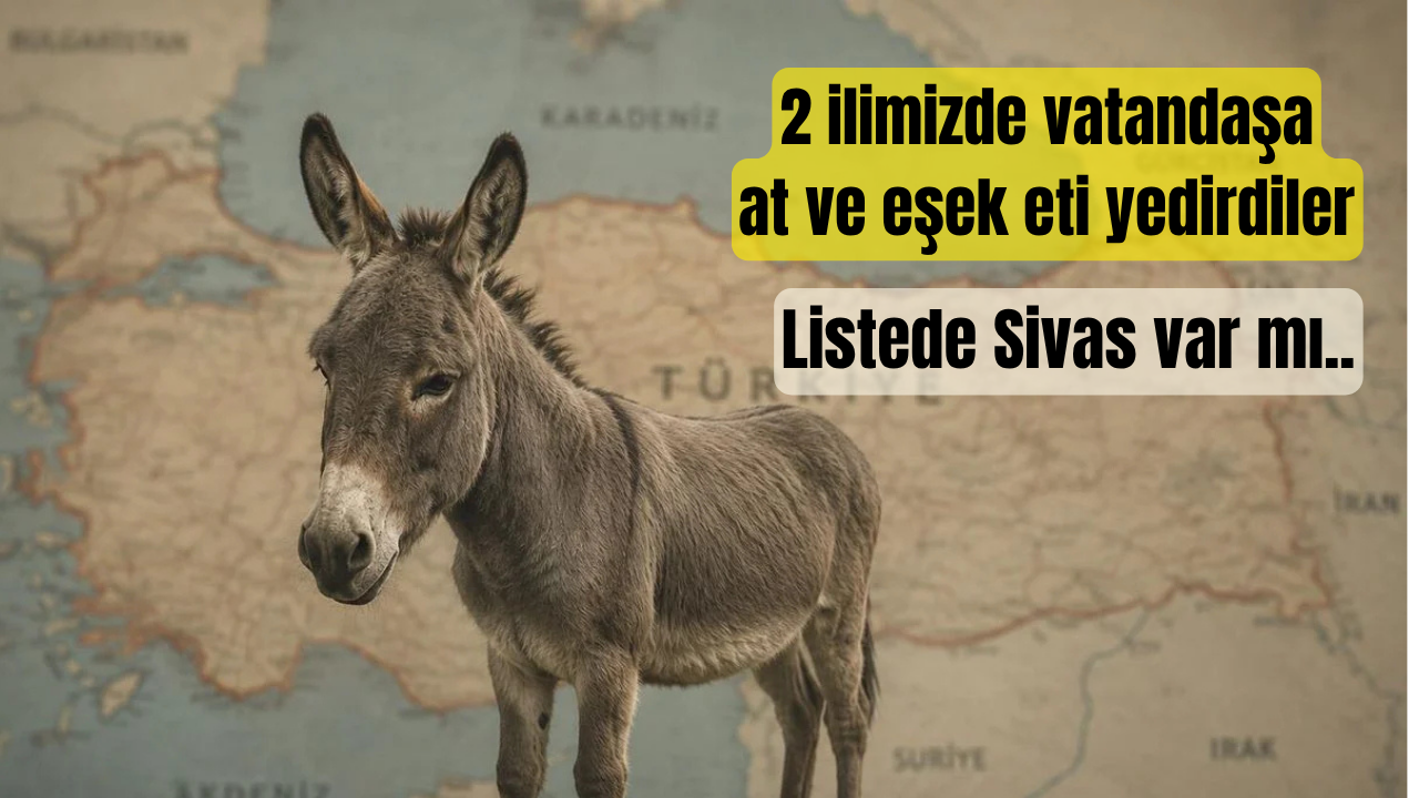 Vatandaşa at ve eşek eti yedirdiler! Sivaslı firma var mı?