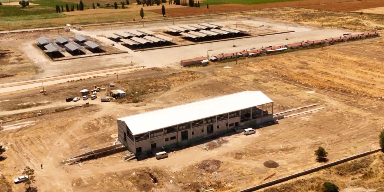 Sivas'a modern kesimhane